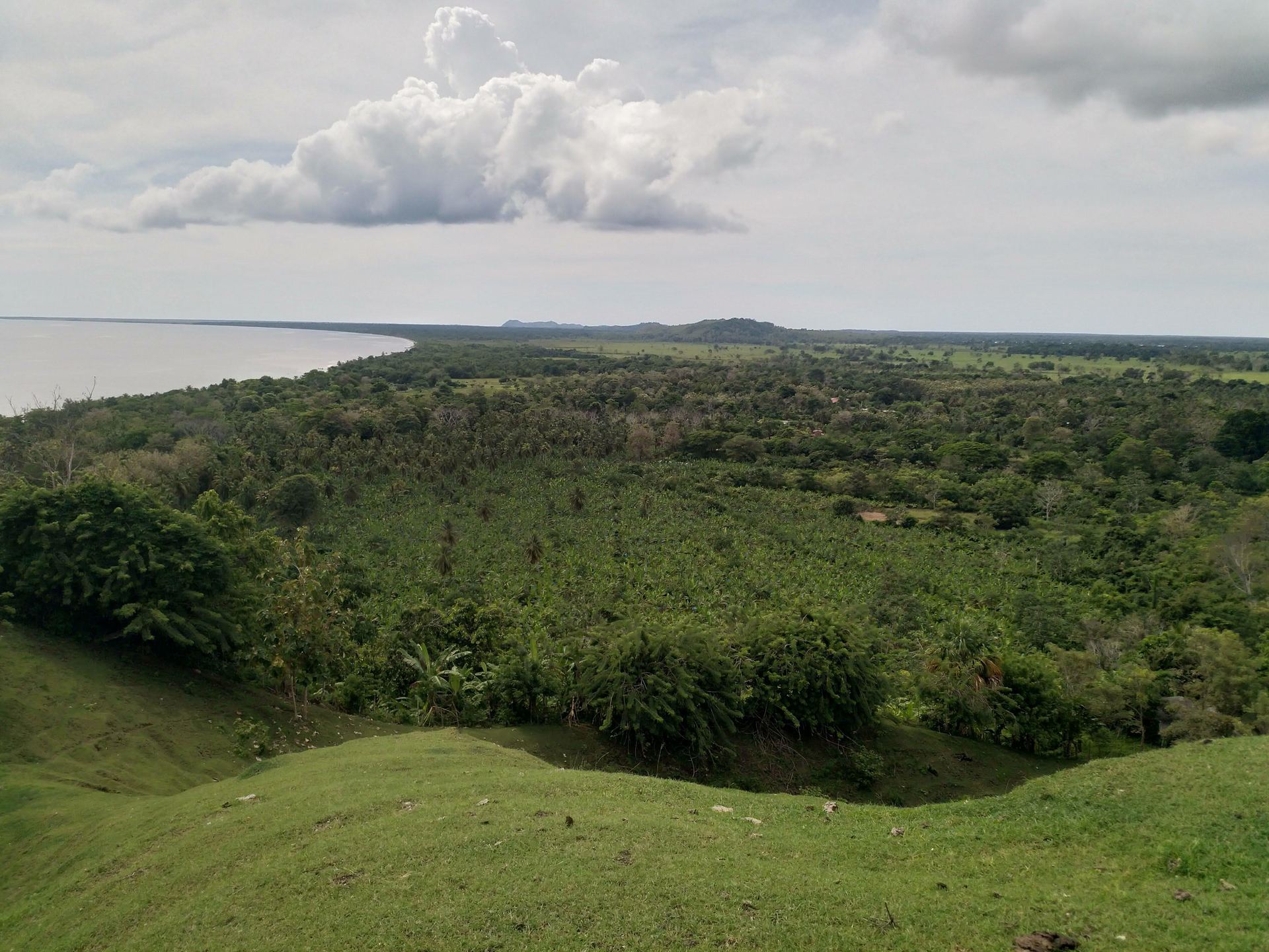 Paisaje alto de Necocli: plantaciones, palmas, golfo y cielo del Caribe antioqueno